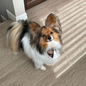 Meet your Posher, Sherrell